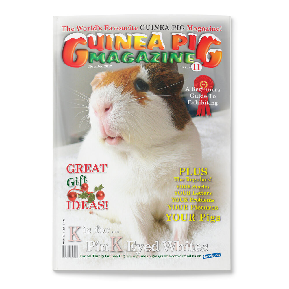 Issue 11 Print Only Guinea Pig Magazine